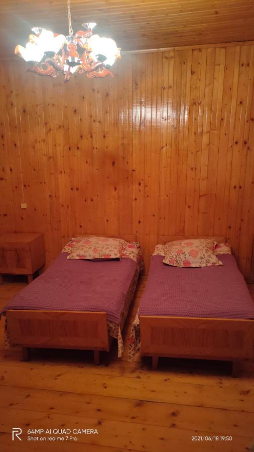 Shaulini Hotel Kashveti Bilik gambar