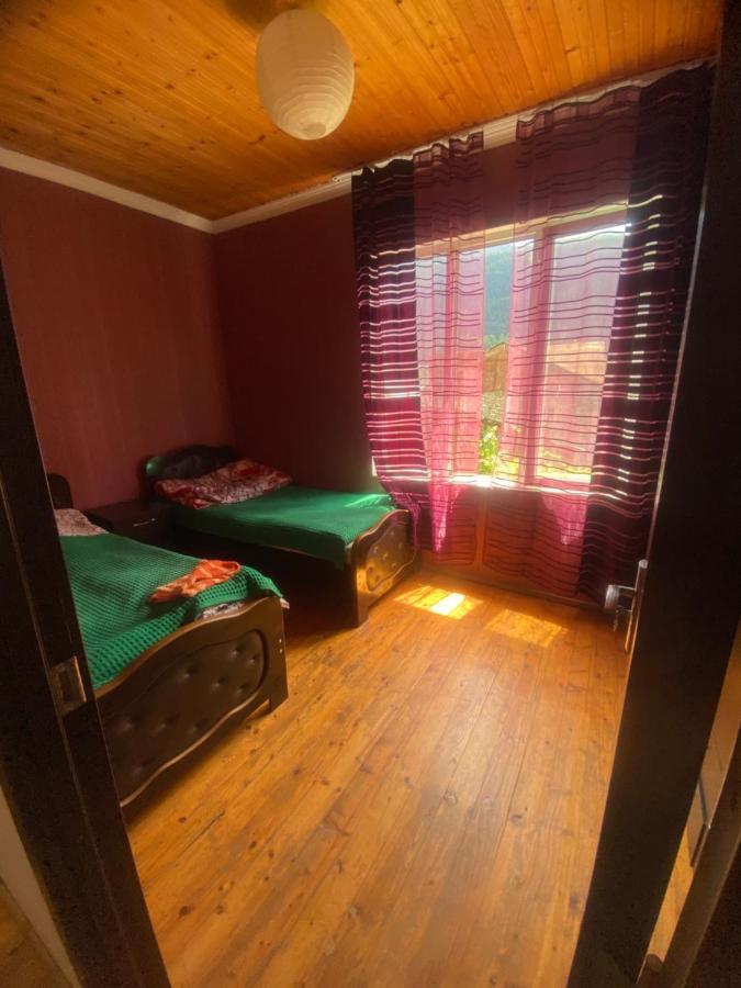 Shaulini Hotel Kashveti Luaran gambar