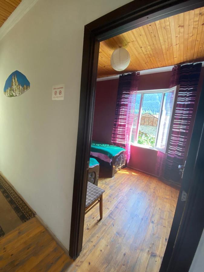 Shaulini Hotel Kashveti Luaran gambar