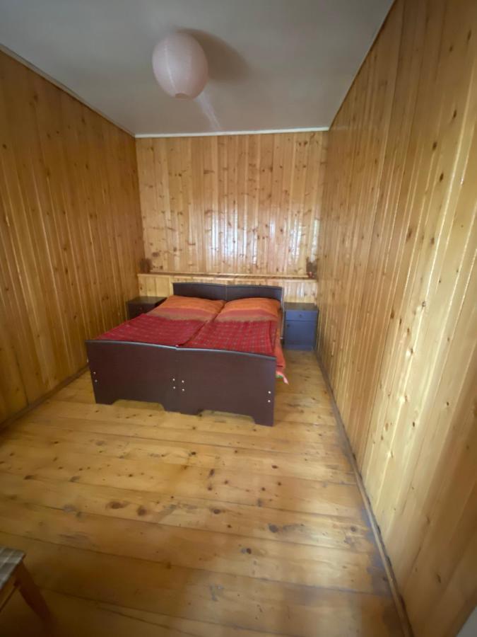 Shaulini Hotel Kashveti Luaran gambar