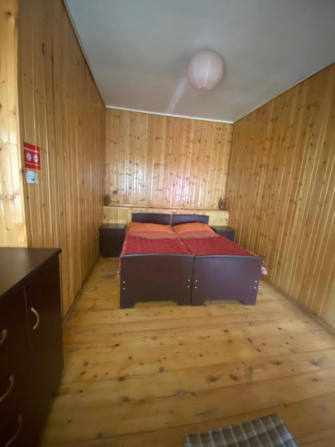 Shaulini Hotel Kashveti Luaran gambar