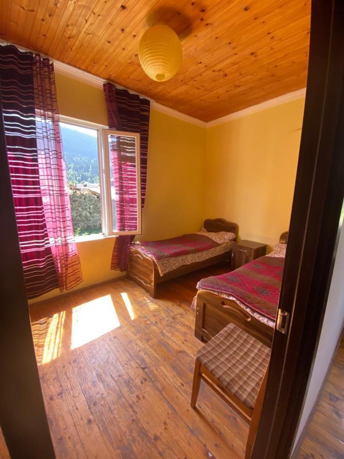Shaulini Hotel Kashveti Luaran gambar