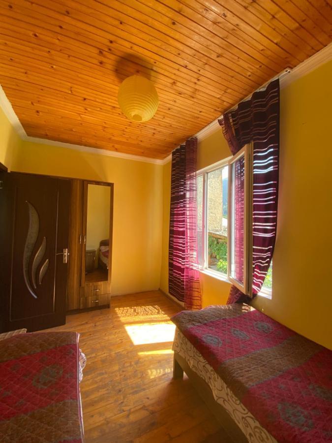 Shaulini Hotel Kashveti Luaran gambar
