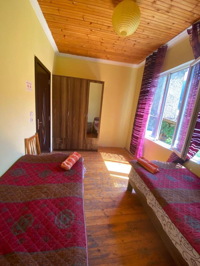 Shaulini Hotel Kashveti Luaran gambar