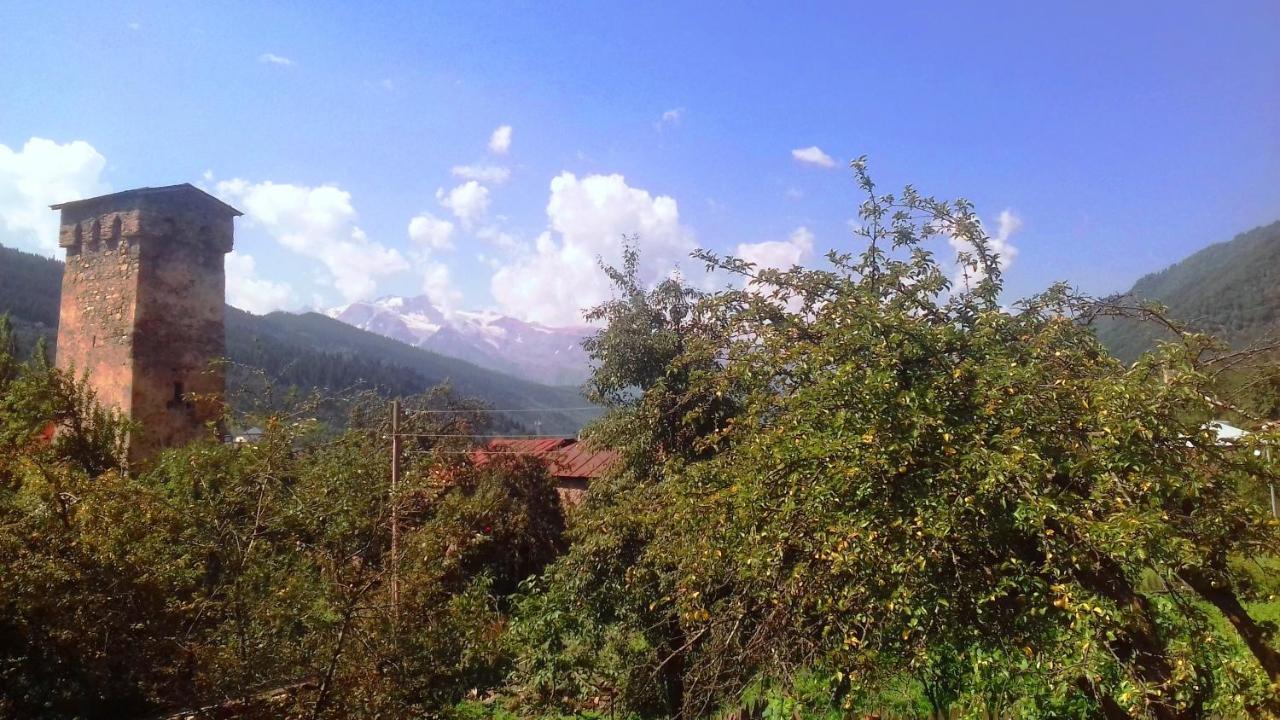Shaulini Hotel Kashveti Luaran gambar