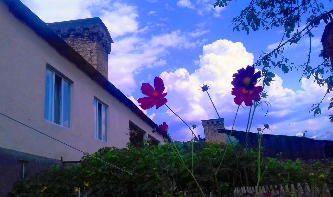 Shaulini Hotel Kashveti Luaran gambar