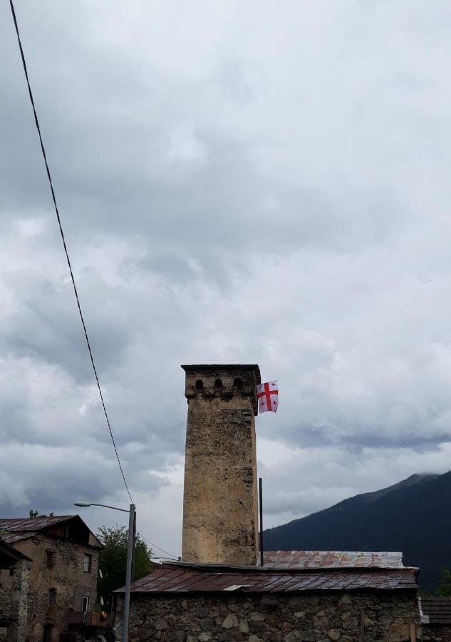 Shaulini Hotel Kashveti Luaran gambar