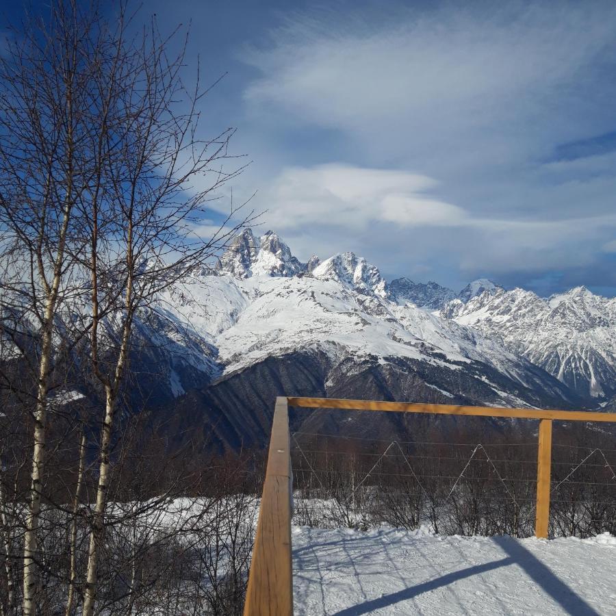 Shaulini Hotel Kashveti Luaran gambar